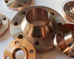 Nickel & Copper Alloy flanges